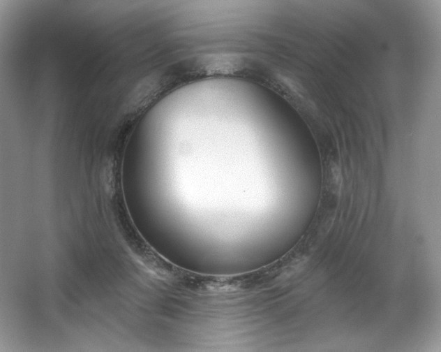 X0000067840311200604171159