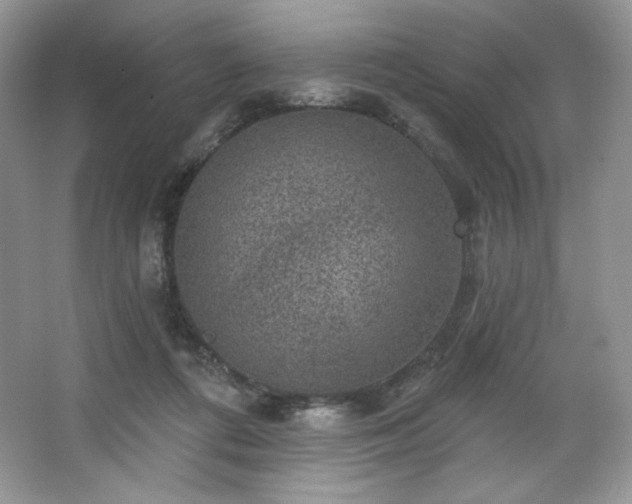 X0000067840312200604171159