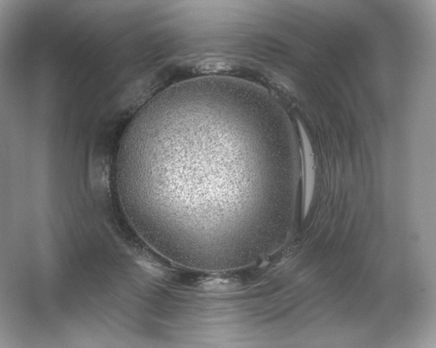 X0000067840315200604171159