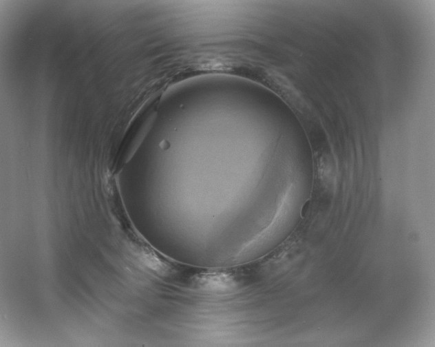 X0000067840322200604171159