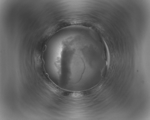 X0000067840327200604171159