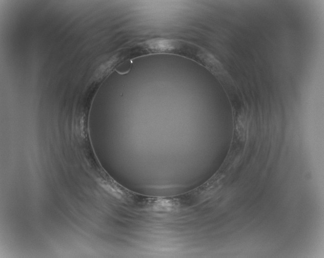 X0000067840330200604171159