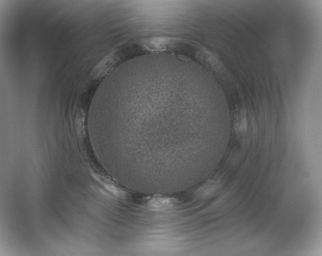 X0000067840332200604171159