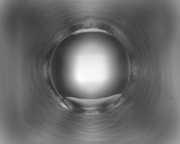 X0000067840333200604171159