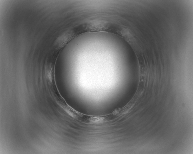 X0000067840334200604171159