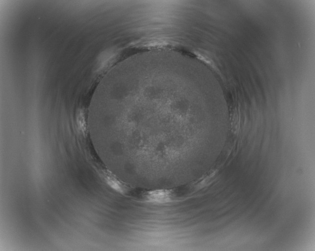 X0000067840335200604171159