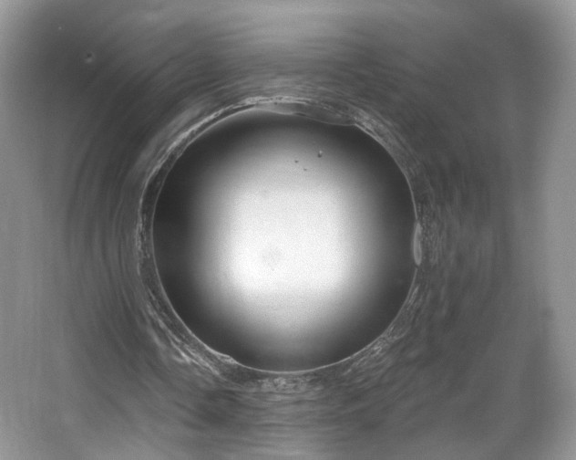 X0000067840338200604171158