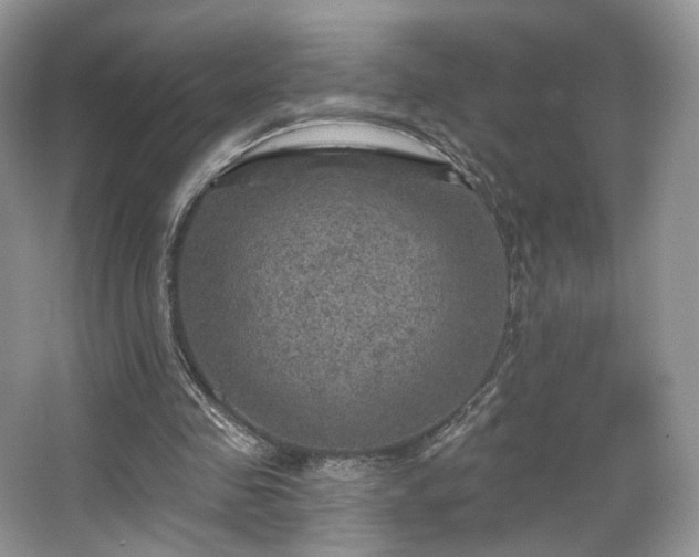 X0000067840341200604171158