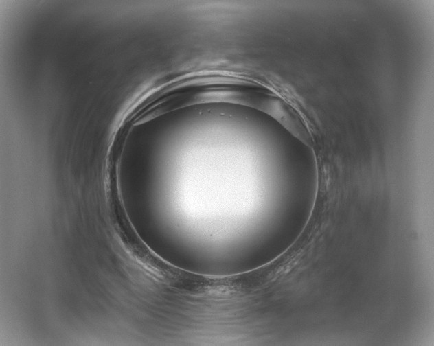 X0000067840344200604171158