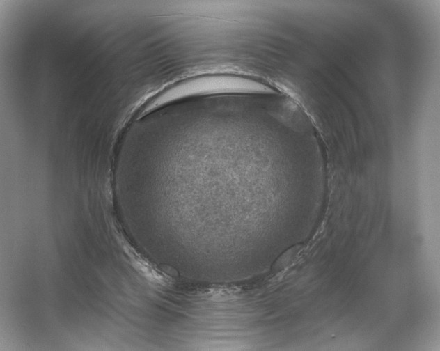 X0000067840345200604171158