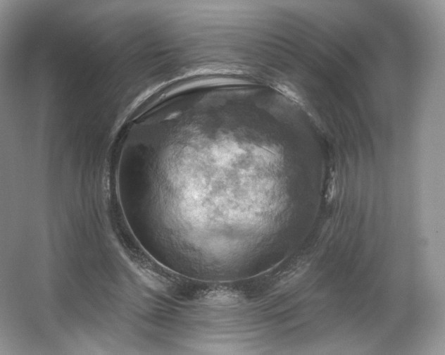 X0000067840348200604171158