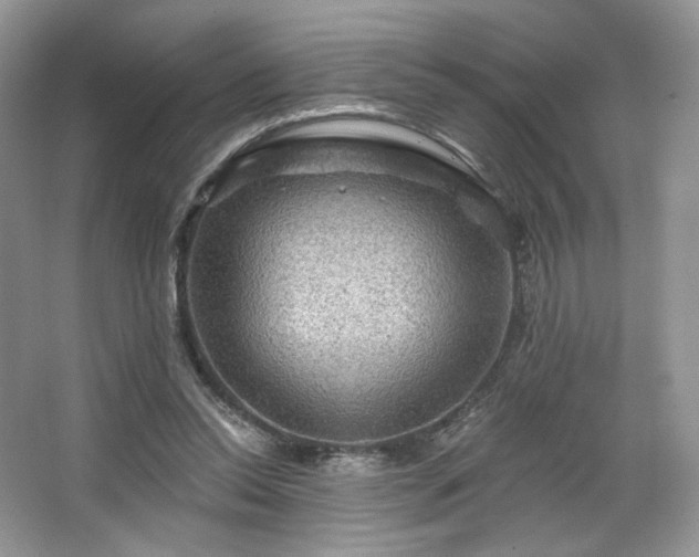 X0000067840350200604171158