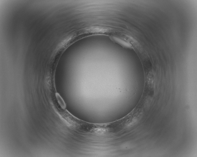 X0000067840352200604171158