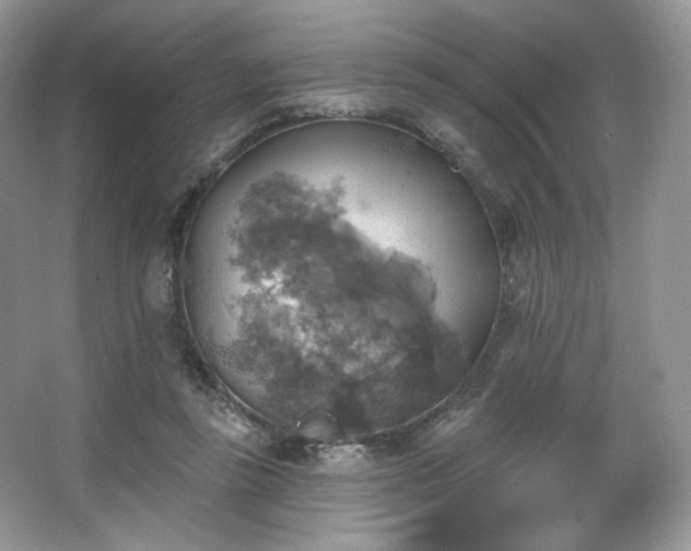 X0000067840355200604171159