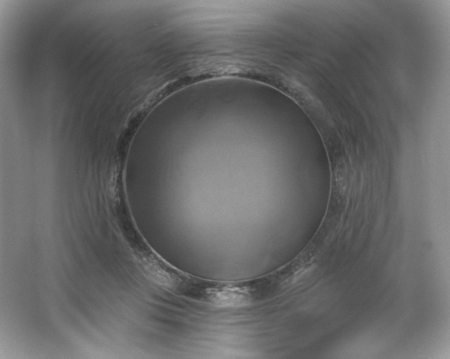 X0000067840359200604171159