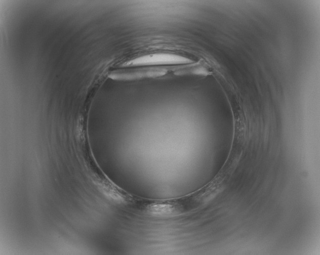 X0000067840361200604171159