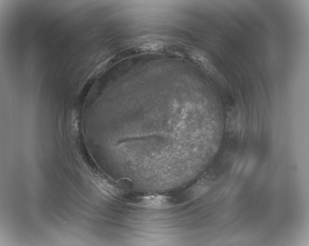 X0000067840363200604171159