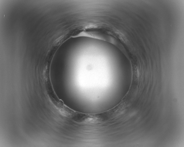 X0000067840364200604171159