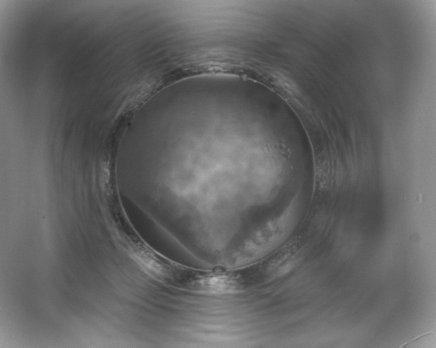 X0000067840365200604171159