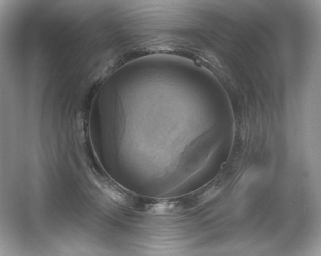 X0000067840366200604171159