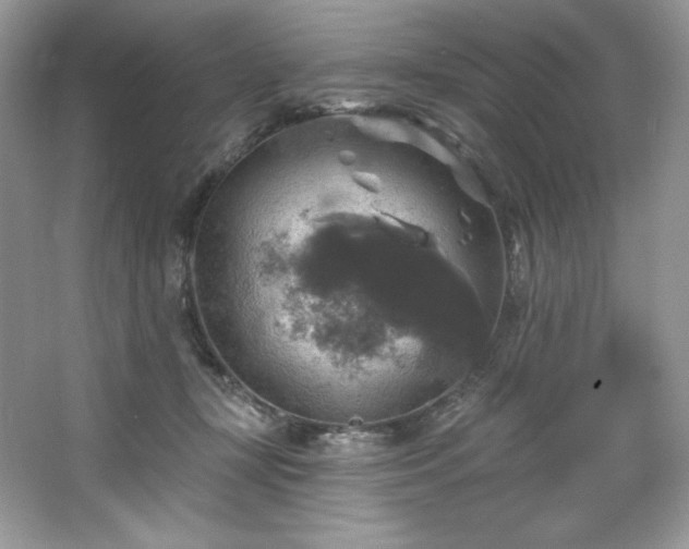 X0000067840367200604171159