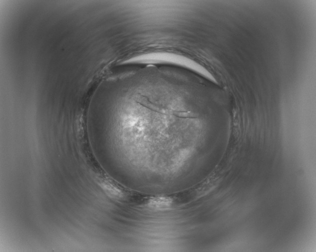 X0000067840369200604171159