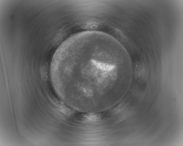 X0000067840370200604171159