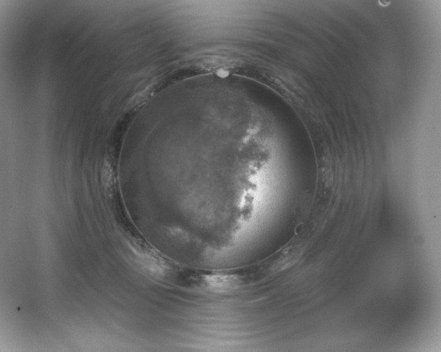 X0000067840371200604171159