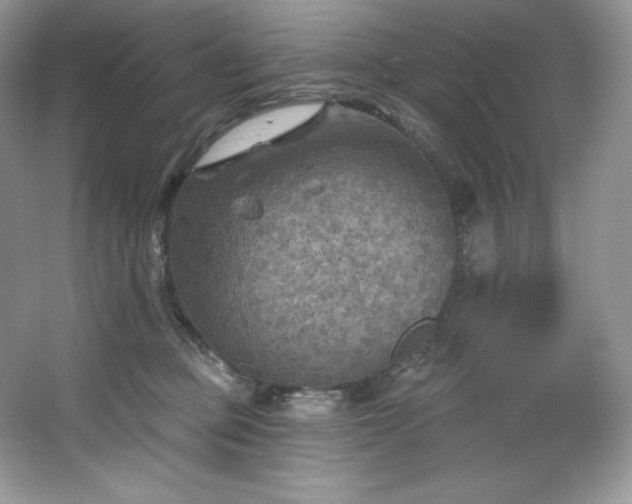 X0000067840373200604171159