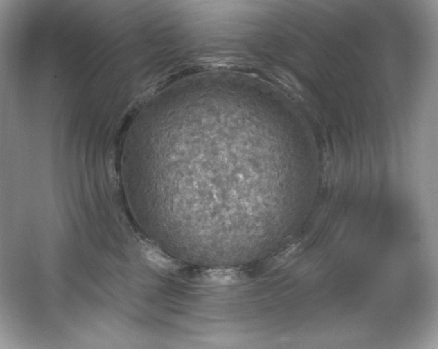 X0000067840377200604171159