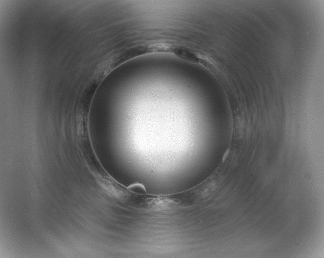 X0000067840379200604171159