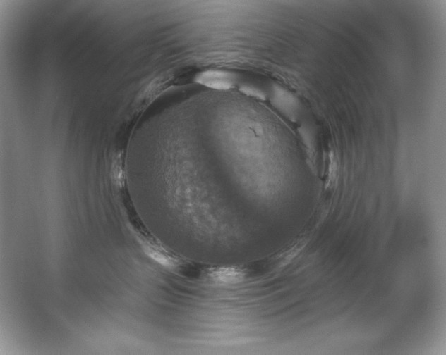 X0000067840383200604171159