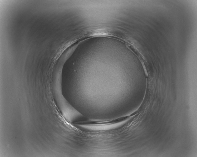 X0000067840385200604171158