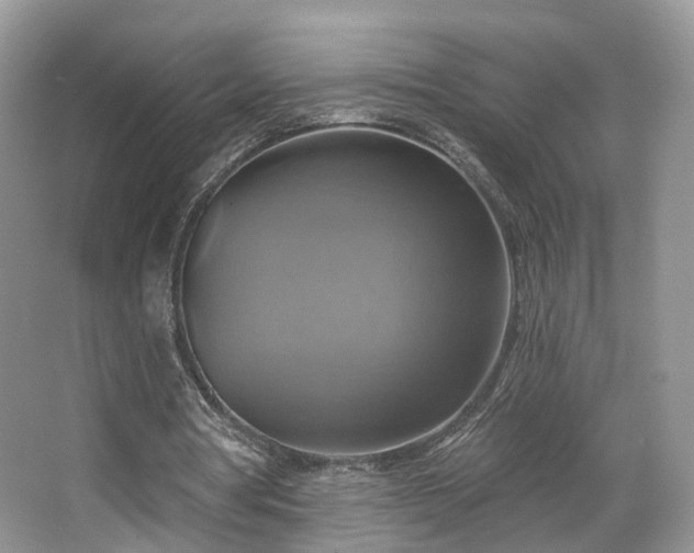 X0000067840386200604171158