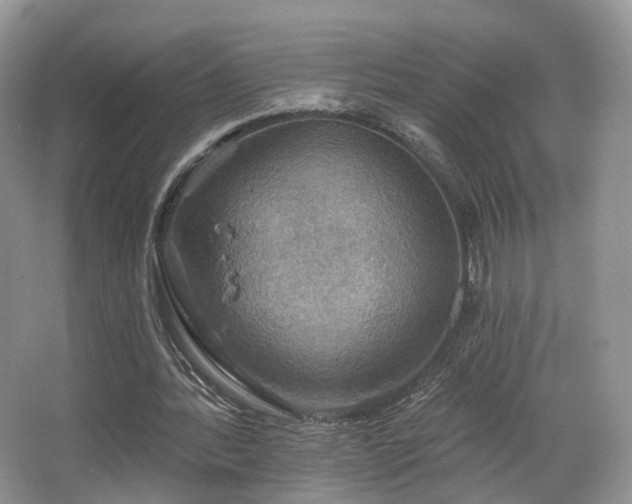 X0000067840388200604171158