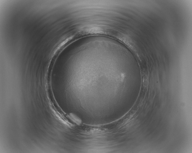 X0000067840390200604171158