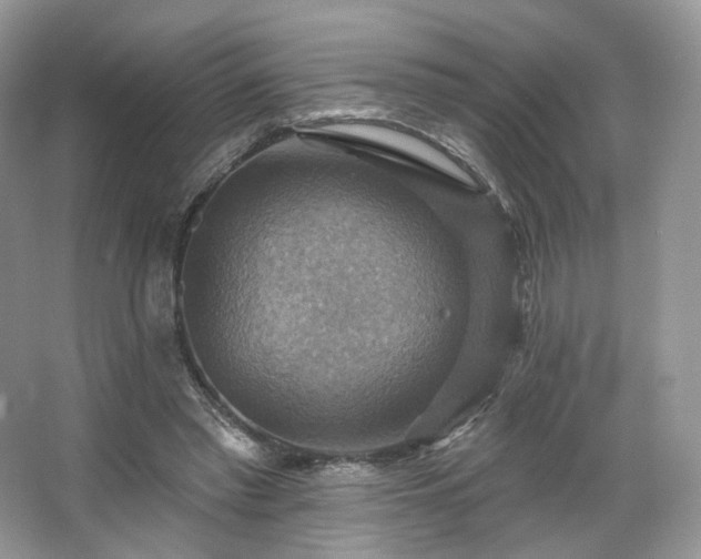 X0000067840397200604171158