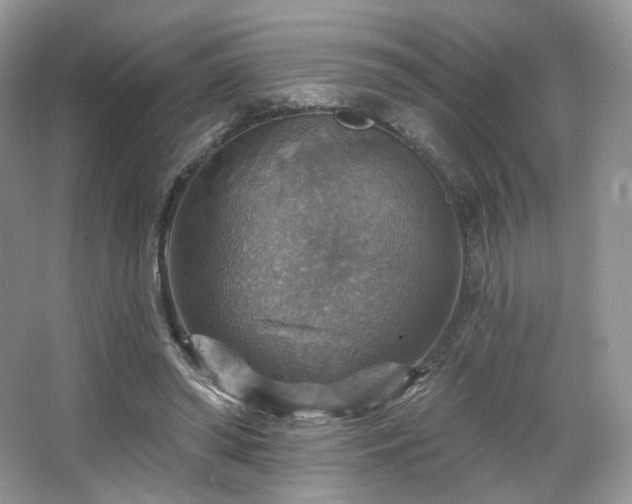 X0000067840398200604171158