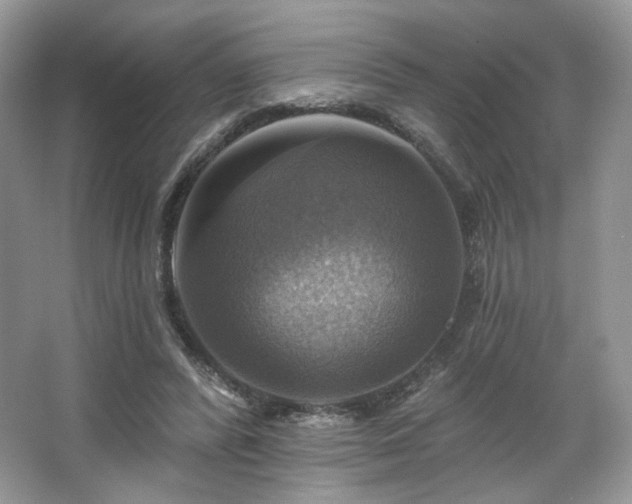 X0000067840400200604171158