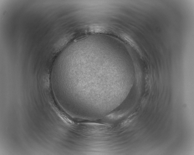 X0000067840401200604171158