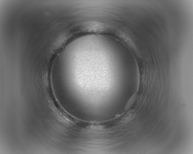 X0000067840403200604171158