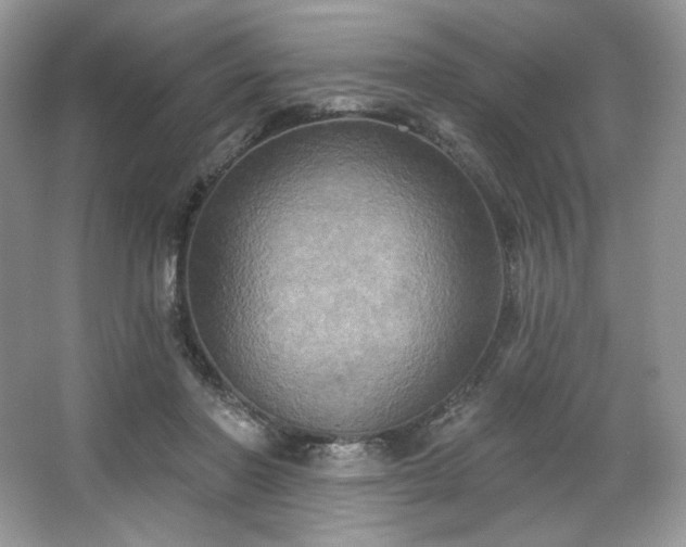 X0000067840406200604171158