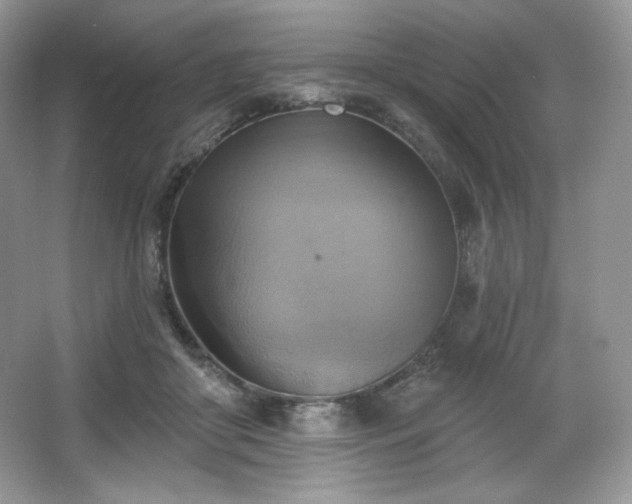 X0000067840410200604171158
