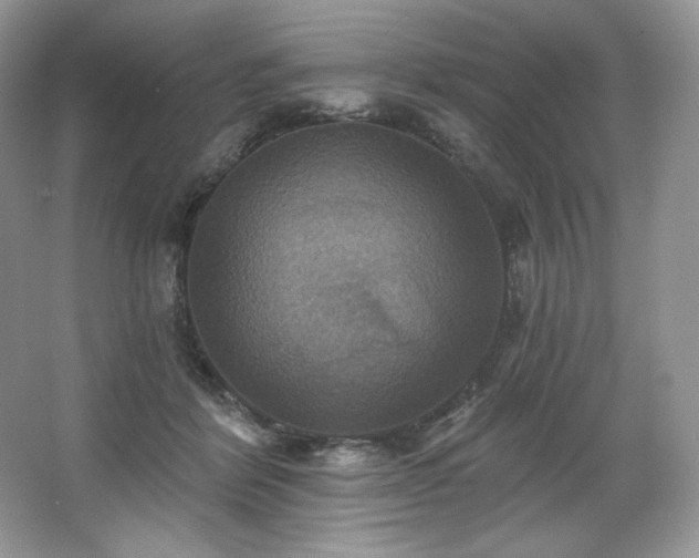 X0000067840412200604171158