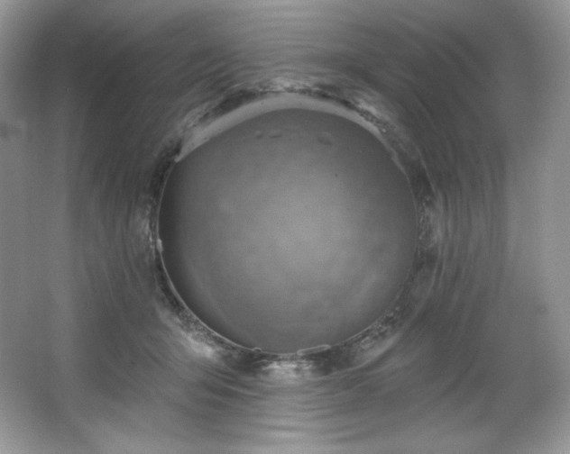 X0000067840415200604171158