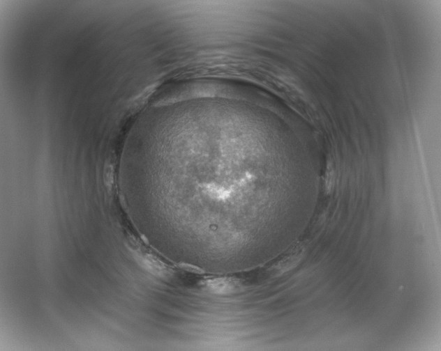 X0000067840417200604171158