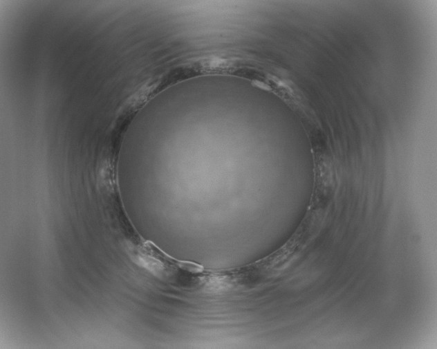 X0000067840419200604171158