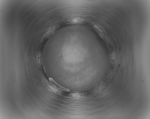 X0000067840423200604171158