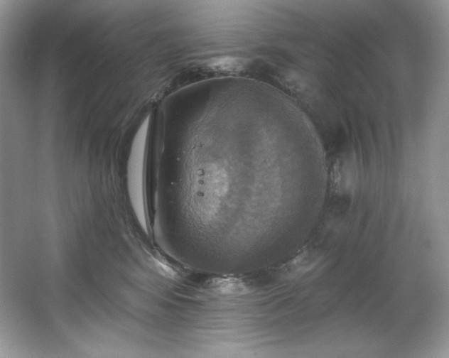 X0000067840424200604171158