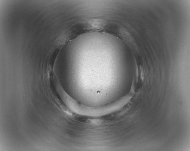 X0000067840425200604171158